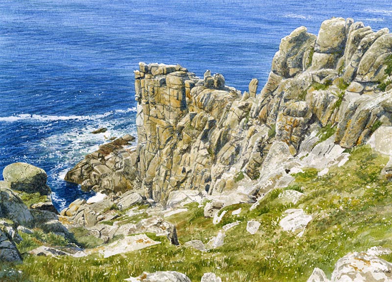 Cornish Chough - Watercolour